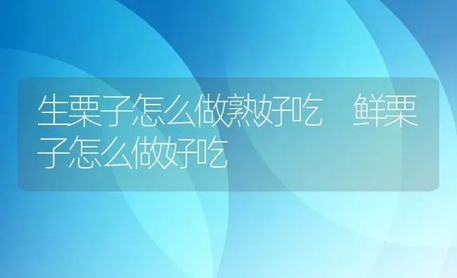 生栗子怎么做熟好吃 鲜栗子怎么做好吃 | 养殖资料投稿