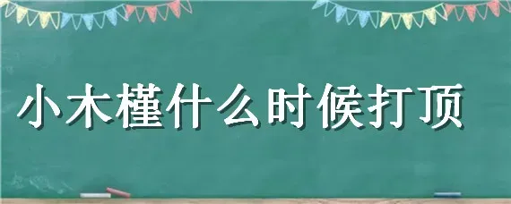 小木槿什么时候打顶