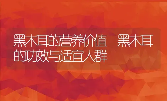 黑木耳的营养价值 黑木耳的功效与适宜人群 | 养殖资料投稿