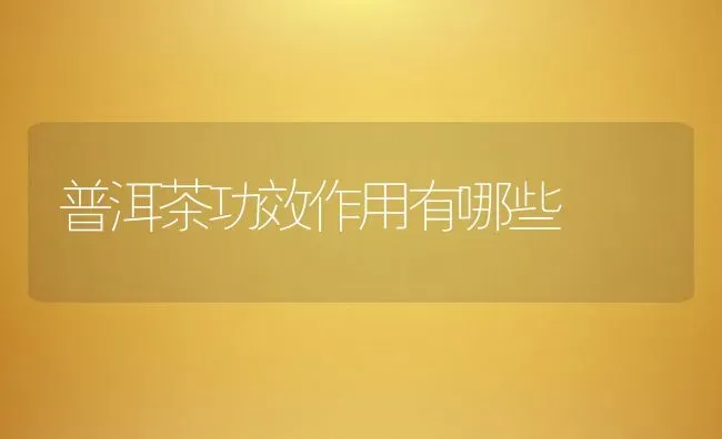 普洱茶功效作用有哪些 | 养殖资料投稿