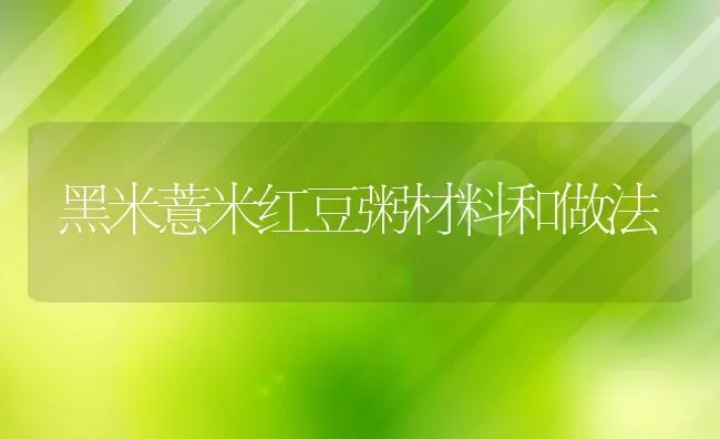 黑米薏米红豆粥材料和做法 | 养殖资料投稿