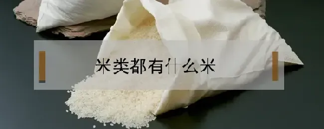 米类都有什么米