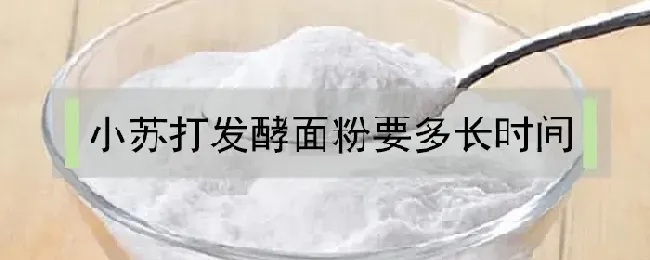 小苏打发酵面粉要多长时间