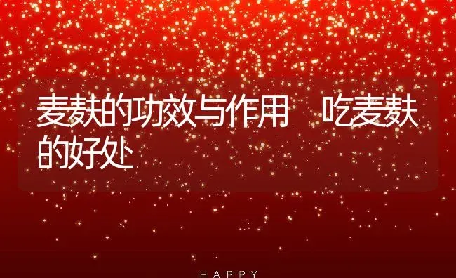 麦麸的功效与作用 吃麦麸的好处 | 养殖资讯
