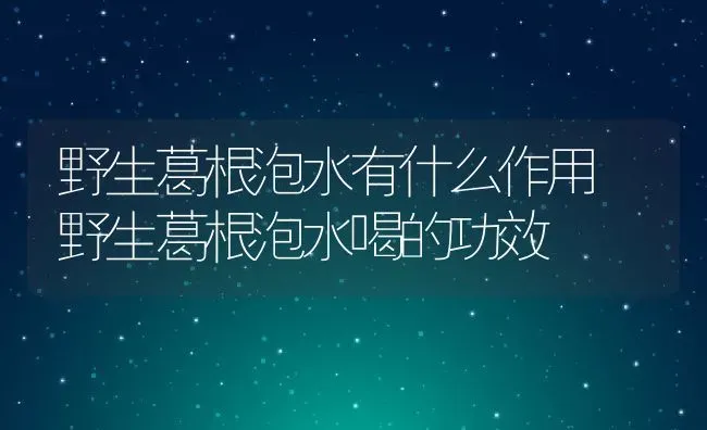 野生葛根泡水有什么作用 野生葛根泡水喝的功效 | 养殖资料投稿