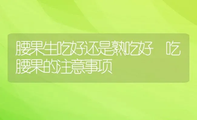 腰果生吃好还是熟吃好 吃腰果的注意事项 | 养殖资料投稿