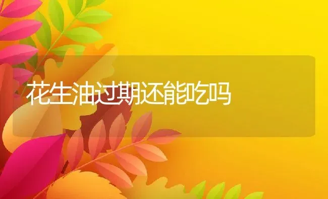 花生油过期还能吃吗 | 养殖资料投稿