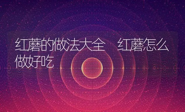 红蘑的做法大全 红蘑怎么做好吃 | 养殖资料投稿