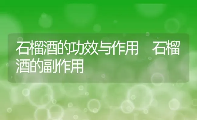 石榴酒的功效与作用 石榴酒的副作用 | 养殖资料投稿