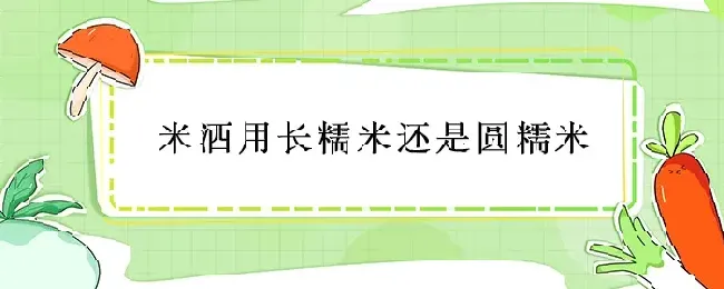 米酒用长糯米还是圆糯米