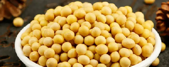 黄豆生虫怎么处理？