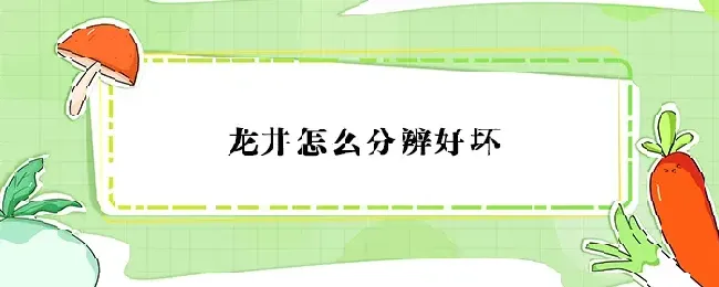 龙井怎么分辨好坏