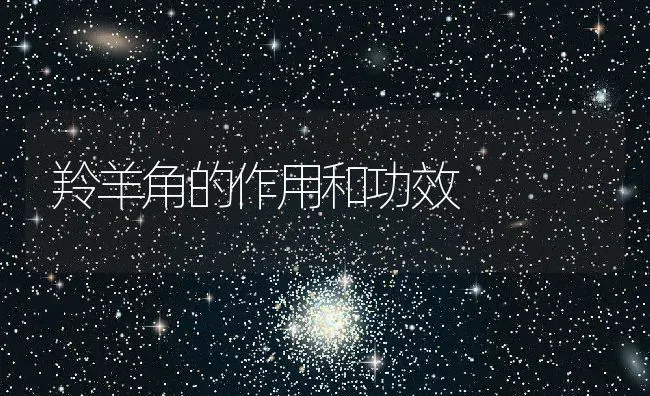 羚羊角的作用和功效 | 养殖资料投稿