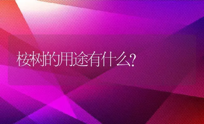 桉树的用途有什么? | 养殖资讯
