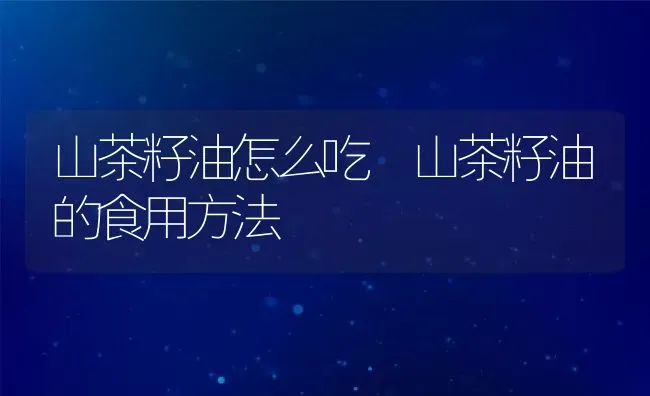 山茶籽油怎么吃 山茶籽油的食用方法 | 养殖资料投稿