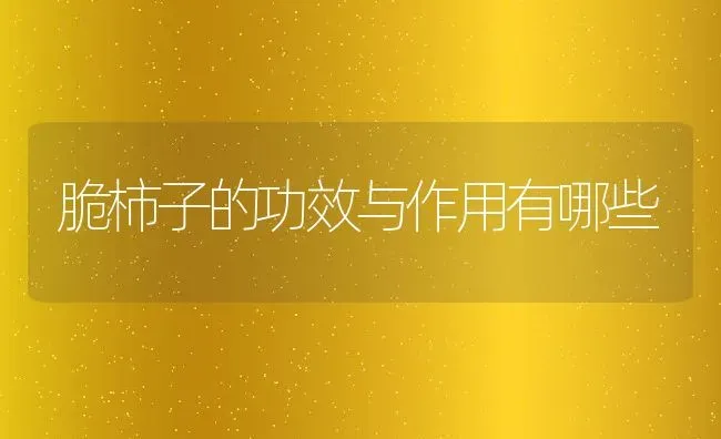 脆柿子的功效与作用有哪些 | 养殖资料投稿