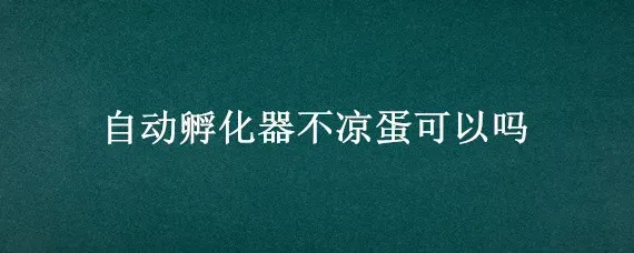 自动孵化器不凉蛋可以吗