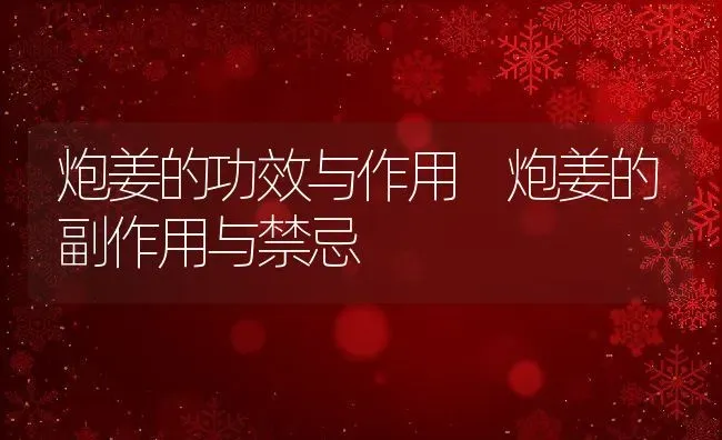 炮姜的功效与作用 炮姜的副作用与禁忌 | 养殖资料投稿