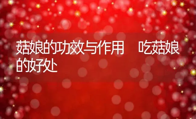 菇娘的功效与作用 吃菇娘的好处 | 养殖资料投稿