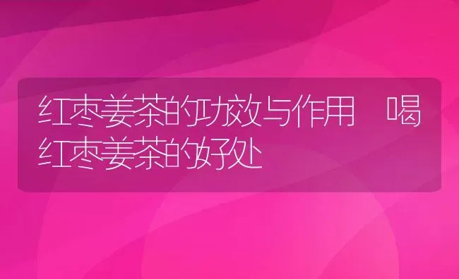 红枣姜茶的功效与作用 喝红枣姜茶的好处 | 养殖资料投稿