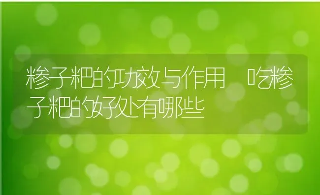 糁子粑的功效与作用 吃糁子粑的好处有哪些 | 养殖资料投稿