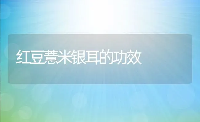 红豆薏米银耳的功效 | 养殖资料投稿