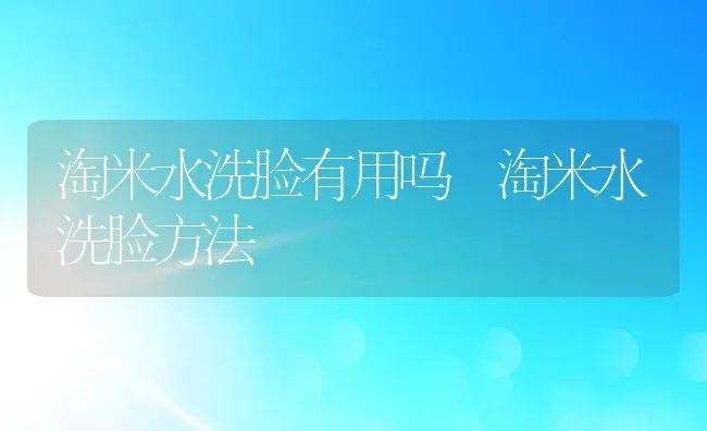 淘米水洗脸有用吗 淘米水洗脸方法 | 养殖资料投稿