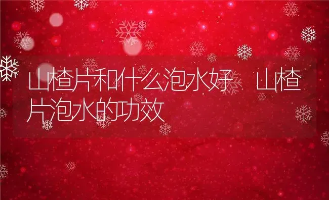 山楂片和什么泡水好 山楂片泡水的功效 | 养殖资料投稿