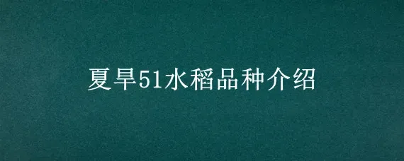 夏旱51水稻品种介绍