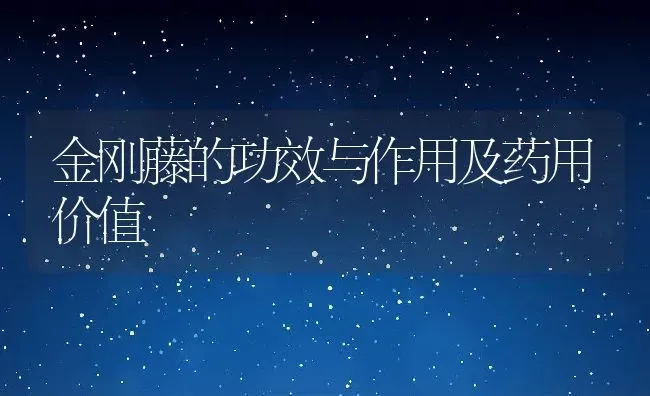 乌桕的功效与作用 | 养殖资料投稿