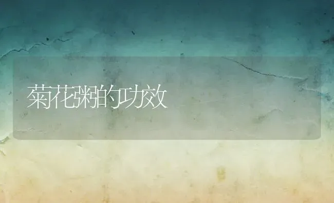 菊花粥的功效 | 养殖资讯