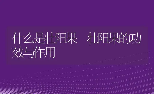 什么是壮阳果 壮阳果的功效与作用 | 养殖资料投稿