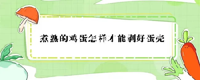 煮熟的鸡蛋怎样才能剥好蛋壳