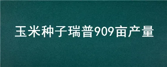 玉米种子瑞普909亩产量