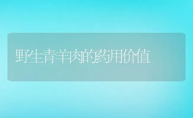 野生青羊肉的药用价值 | 养殖资料投稿