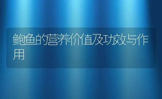 鲍鱼的营养价值及功效与作用 | 养殖资料投稿