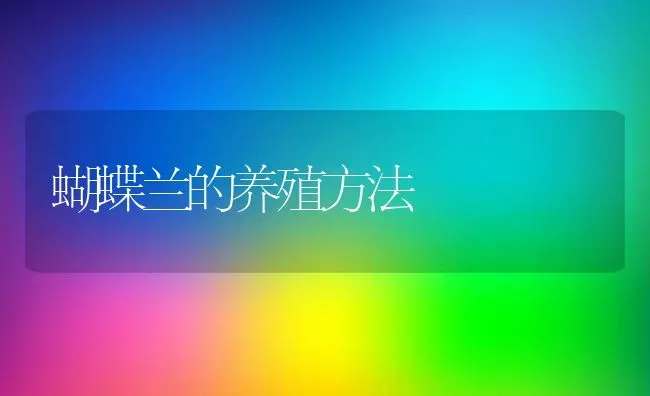 蝴蝶兰的养殖方法 | 养殖资料投稿