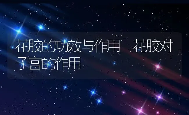 花胶的功效与作用 花胶对子宫的作用 | 养殖资料投稿