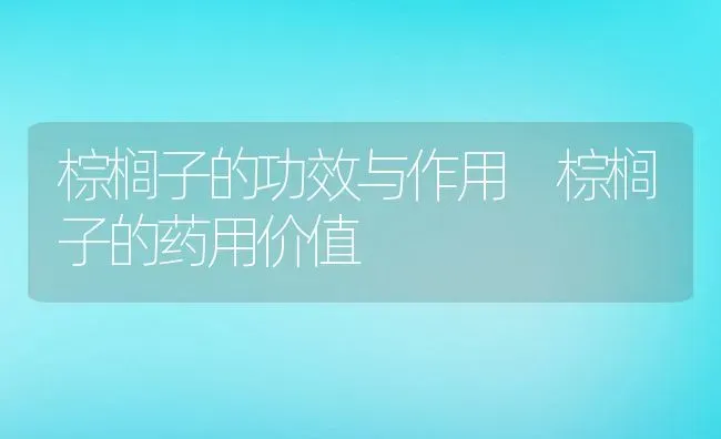 棕榈子的功效与作用 棕榈子的药用价值 | 养殖资料投稿