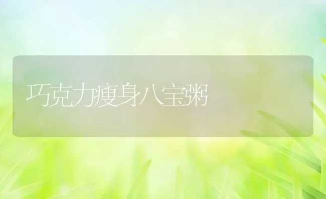 巧克力瘦身八宝粥 | 养殖资讯