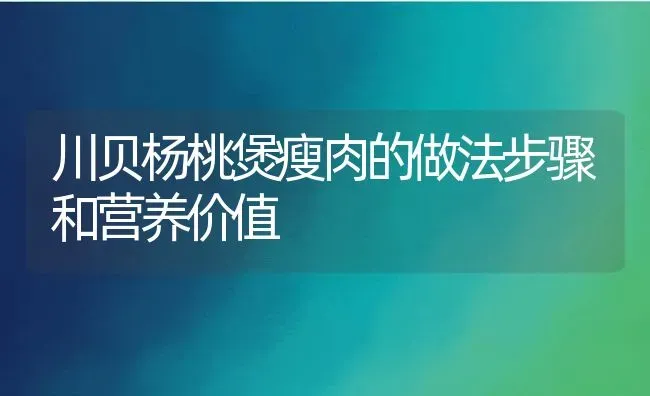 川贝杨桃煲瘦肉的做法步骤和营养价值 | 养殖资料投稿