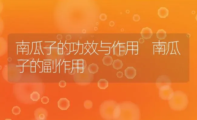 南瓜子的功效与作用 南瓜子的副作用 | 养殖资料投稿