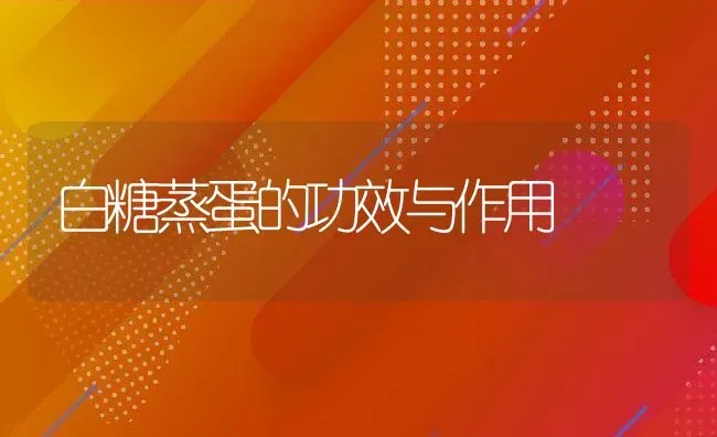 白糖蒸蛋的功效与作用 | 养殖资料投稿