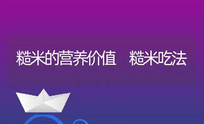 糙米的营养价值 糙米吃法 | 养殖资讯