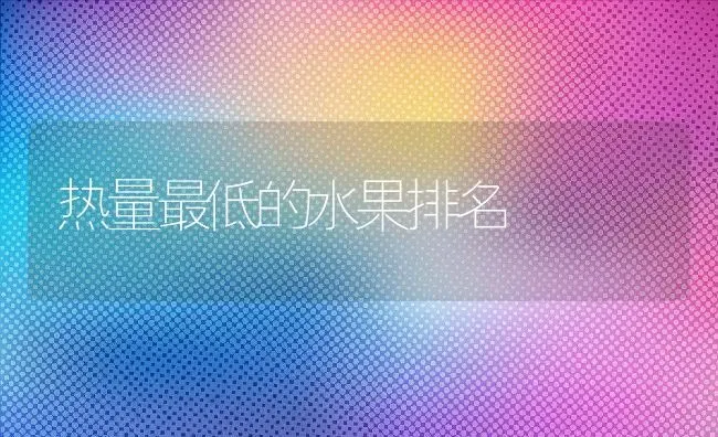 热量最低的水果排名 | 养殖资料投稿