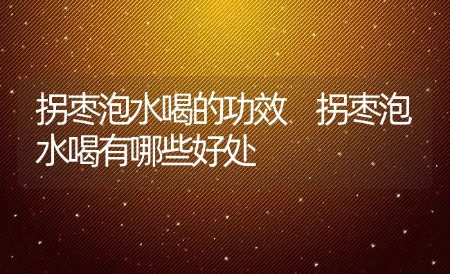 拐枣泡水喝的功效 拐枣泡水喝有哪些好处 | 养殖资料投稿