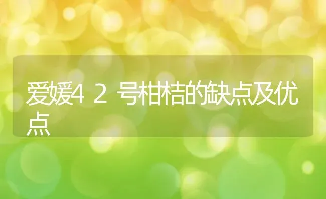 爱媛42号柑桔的缺点及优点 | 养殖资讯