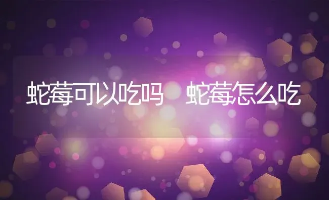 蛇莓可以吃吗 蛇莓怎么吃 | 养殖资料投稿