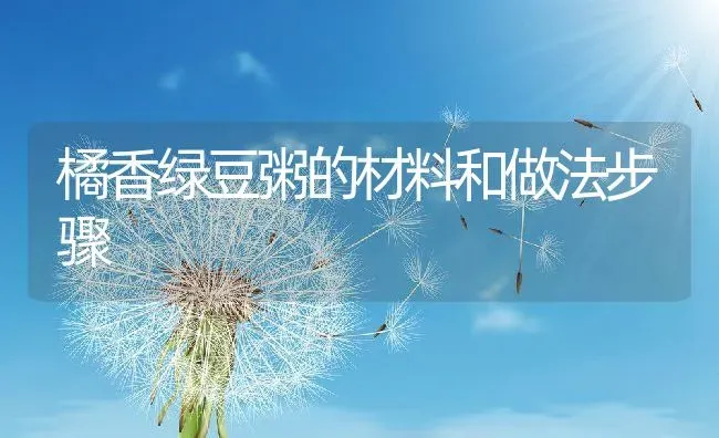 橘香绿豆粥的材料和做法步骤 | 养殖资讯