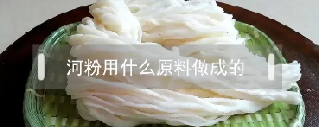 河粉用什么原料做成的